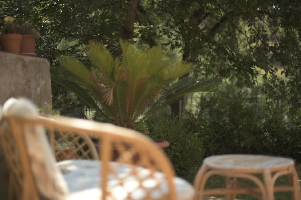 B&B Dei Fiori Praia a Mare Exterior photo