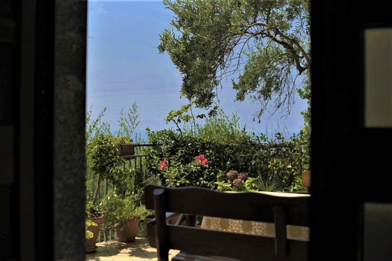 B&B Dei Fiori Praia a Mare Exterior photo