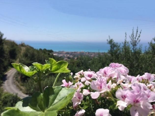 B&B Dei Fiori Praia a Mare Exterior photo